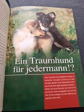 Sheltie gebraucht kaufen  Rheinfelden (Baden)