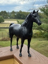 arab mare for sale  Leesburg