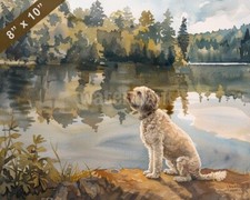 Quadro acquerello lagotto usato  Spedire a Italy