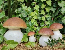 Fungo porcino artificiale usato  Italia