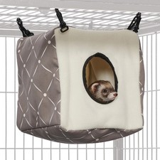 Designer ferret nation for sale  Dallas