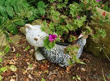 Vintage cat flower for sale  DUNDEE