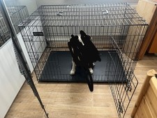 Feandrea hundekäfig xxl gebraucht kaufen  Altstadt