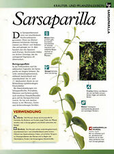 Sarsaparilla kräuterinfokarte gebraucht kaufen  Berlin
