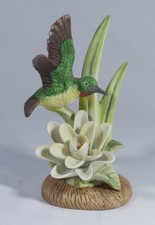 Birds flight hummingbird for sale  Sun Valley