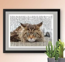 Maine coon cat for sale  Cleveland