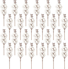 Pezzi decorazione bacche usato Pezzi decorazione bacche usato  Roma