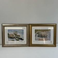 Stephen gayford mountain for sale  COLCHESTER