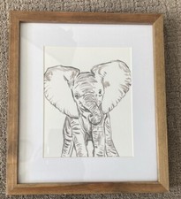 Baby elephant drawing for sale  Denver