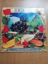 Ligabue lambrusco coltelli usato  Mazze