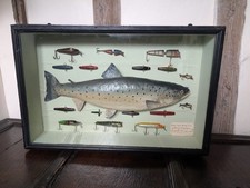 Taxidermy fish. cased for sale  BARNARD CASTLE