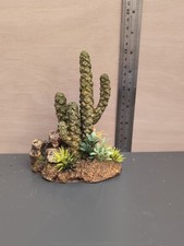 Aquarium coral cactus for sale  PLYMOUTH