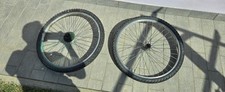 mtb kuma usato  Novara