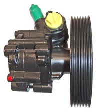 Hydraulikpumpe lenkung lizarte gebraucht kaufen  Oberlungwitz