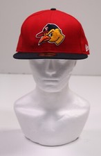 Toledo mud hens for sale  Canton