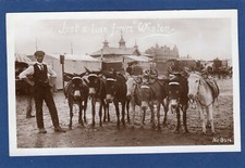 Line donkeys sands for sale  DORCHESTER