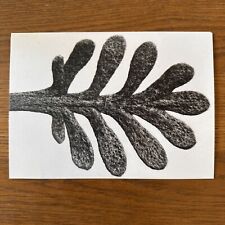 Karl blossfeldt yarrow for sale  Clark