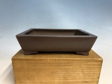Unglazed bonsai tree for sale  Dunkirk
