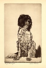 Decoração de parede antiga com estampa de setter inglesa vintage Diana Thorne Setter 5834L, usado comprar usado  Enviando para Brazil