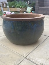 Large terracotta plant for sale  UK