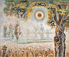 July drought sun for sale  Ventura