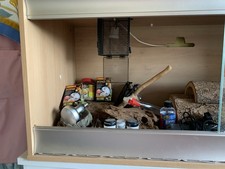 Vivexotic bearded dragon for sale  LEEDS