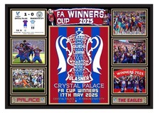 Crystal palace cup for sale  RHYL
