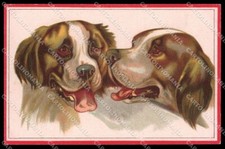 Illustratori artista firmato usato  Gambolo