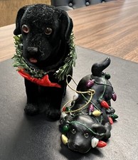 Black labrador retrievers for sale  Tomball