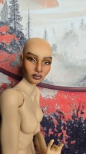 Inamorata ball jointed for sale  Willingboro