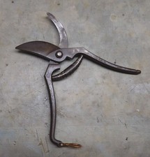 Alte rosenschere gartenschere gebraucht kaufen  Schwabhausen