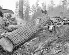 Photograph logging caterpillar for sale  New Baltimore