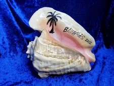 large queen palms for sale large queen palms for sale Walhalla
