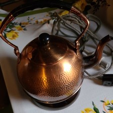 Protherm wasserkochertyp 471 gebraucht kaufen  Neustrelitz