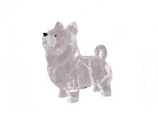 Pomeranian shiba inu for sale  Las Vegas