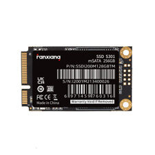 Fanxiang msata ssd gebraucht kaufen  Bremen