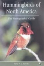 book hummingbirds for sale book hummingbirds for sale Boston