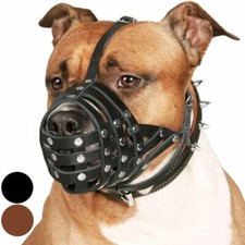 Muselière pitbull cuir usato  Spedire a Italy