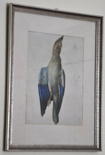 Albrecht dürer 1512 gebraucht kaufen  Kassel