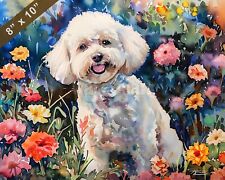 Bichon frise watercolor d'occasion  Expédié en Belgium