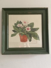 watercolour paintings botanical for sale watercolour paintings botanical for sale LUTON