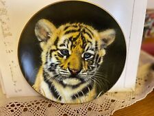 Big cats plate for sale  WALSALL