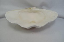 Giant clam shell for sale  Corpus Christi