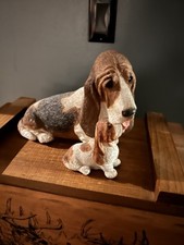 basset pup for sale basset pup for sale Wilmington