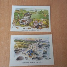 Comic humour postcards for sale  BEDFORD
