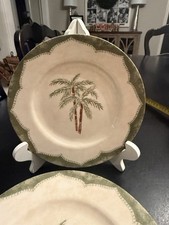 Pier one palm for sale  Germantown