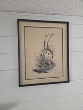 Original vintage art for sale  Mesa