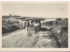 Kersaint landunvez portsall d'occasion  Ploudalmézeau