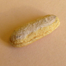 Fève biscuits 2013 d'occasion  Toulon-