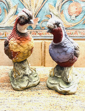 Pair bobwhite quail for sale  Houston